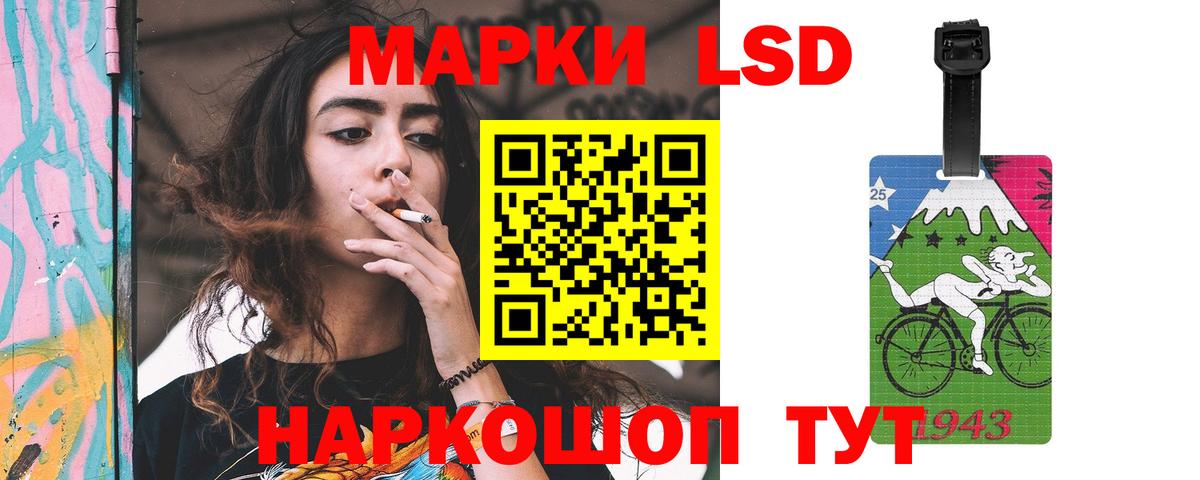 Лсд 25 Камышин
