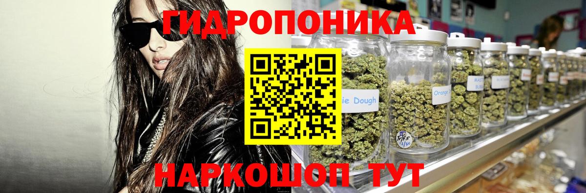 Бошки Шишки семена Камышин